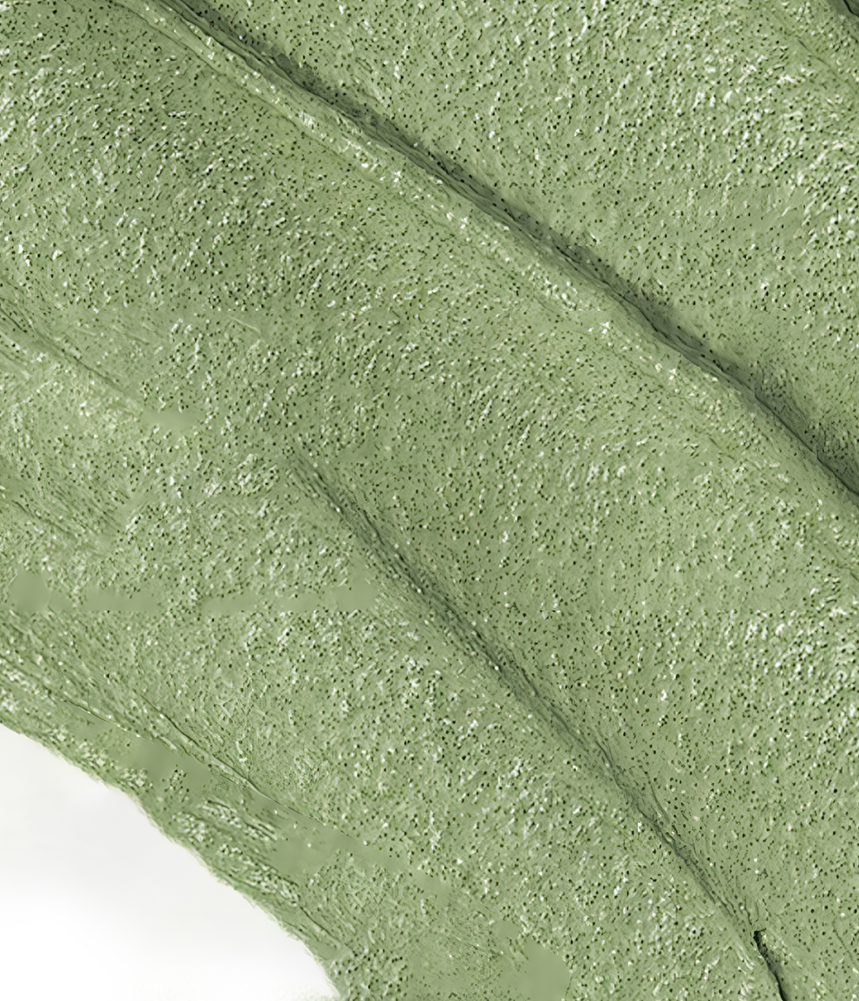 Fruit Acid Body Polishing Scrub