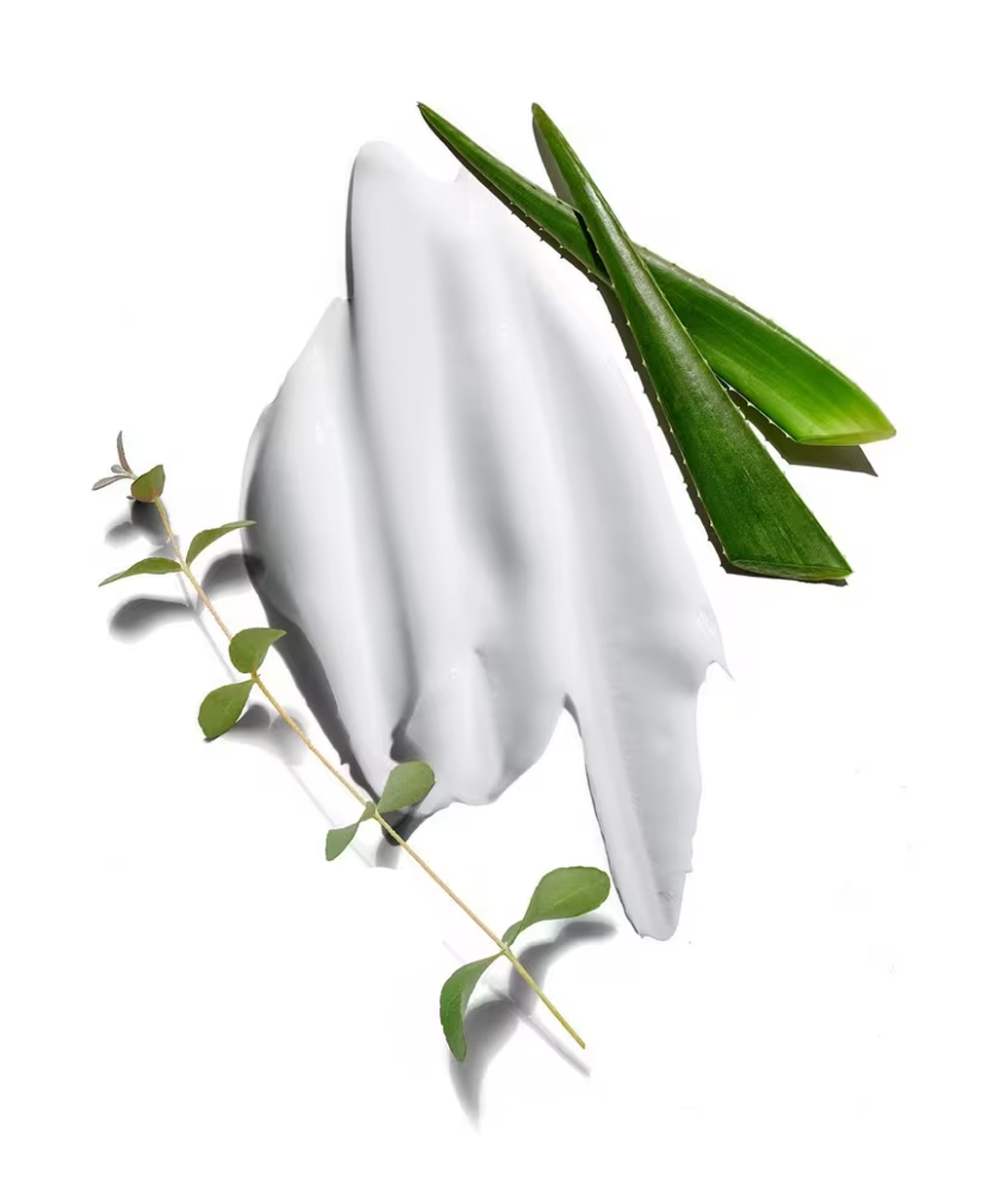 Eucalyptus Face Cream