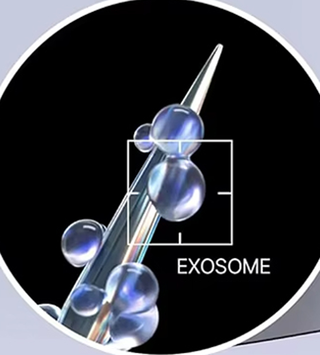 Exosome Serum