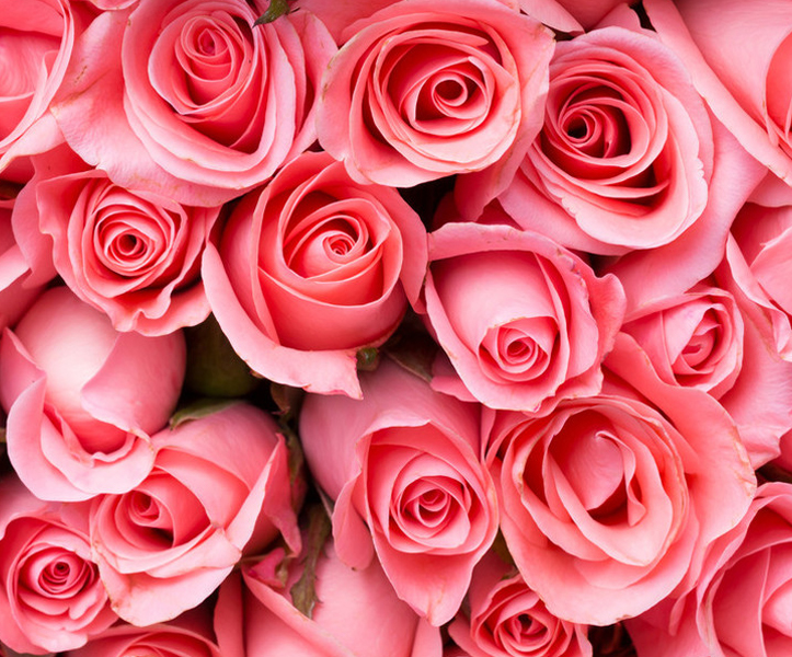Rose Soap