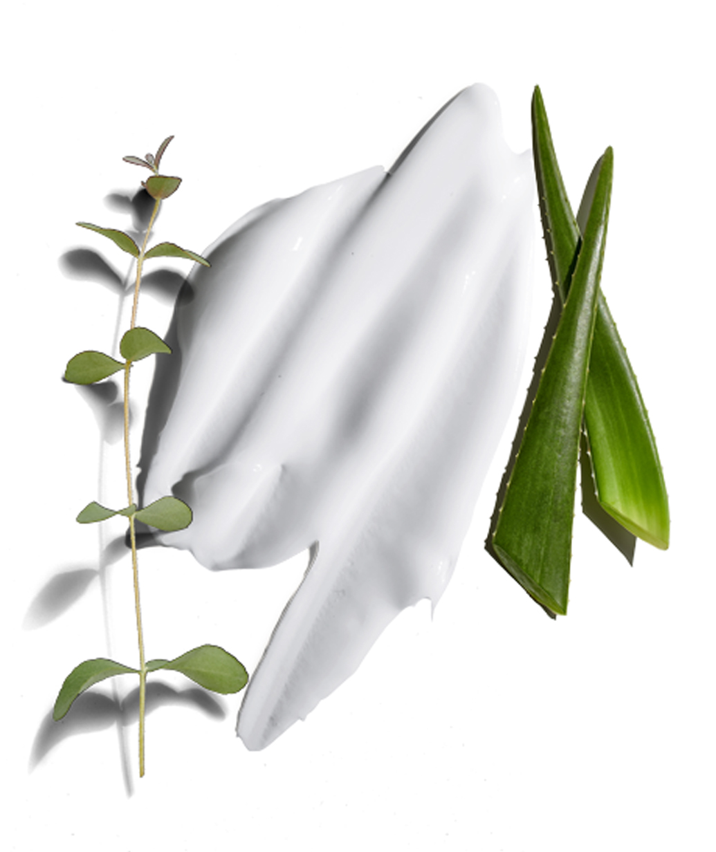 Eucalyptus Skin Care Set
