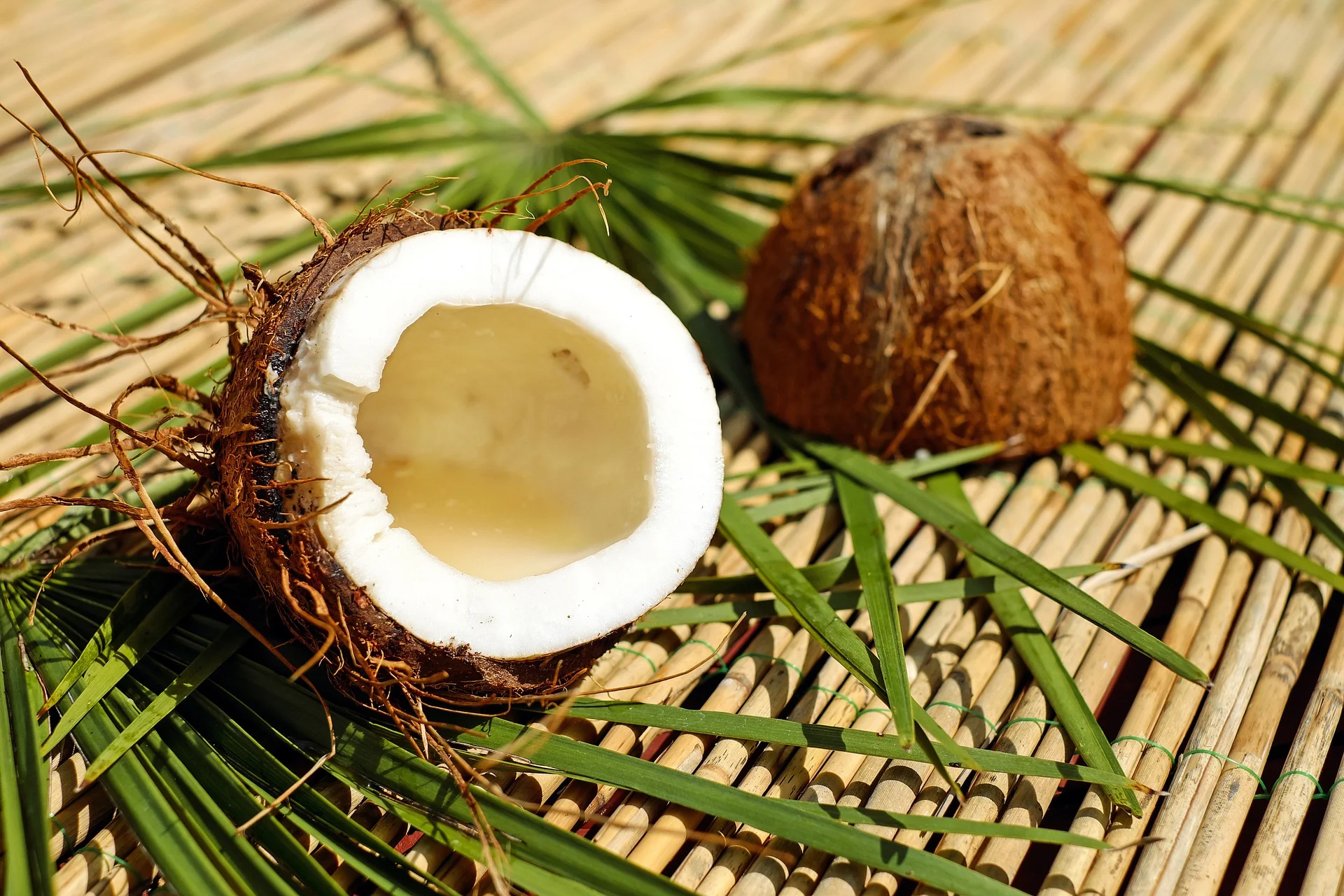 Coconut Oil  Lip Exfoliator & Balm