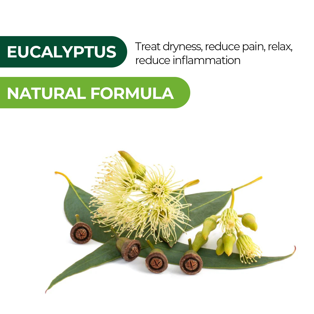 Eucalyptus Face Cream
