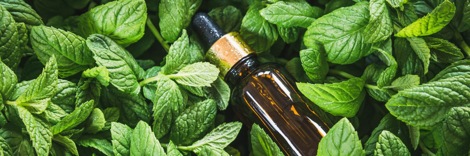 Hair Growth Oil