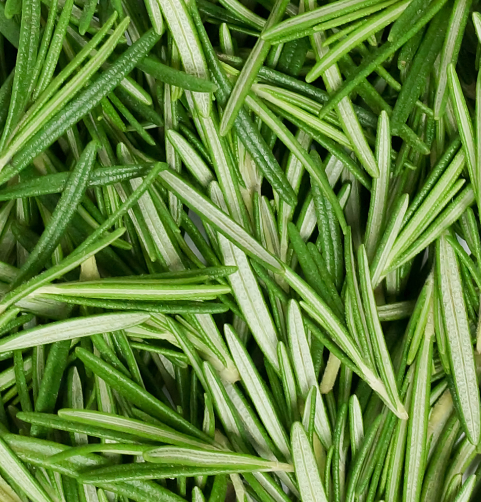 Rosemary Hair Growth Set