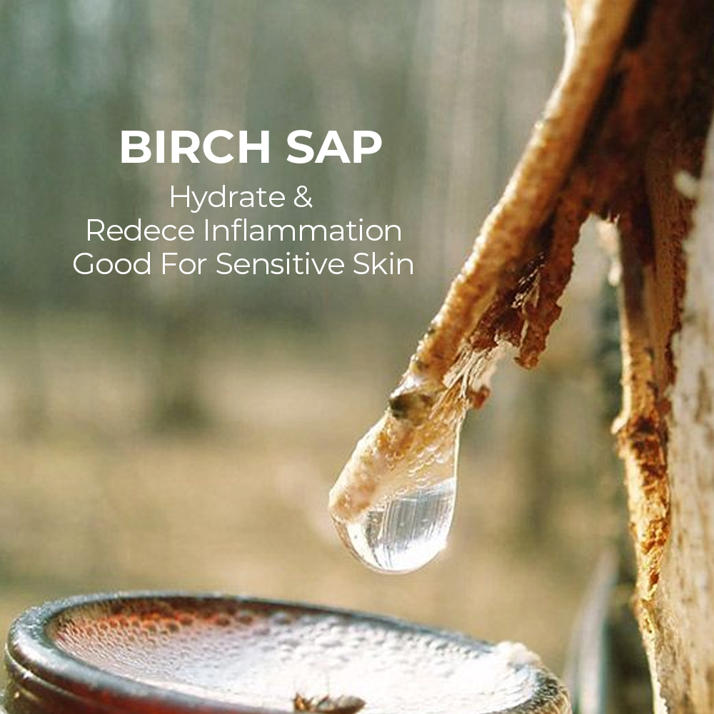 Birch Sap Skin Care Set