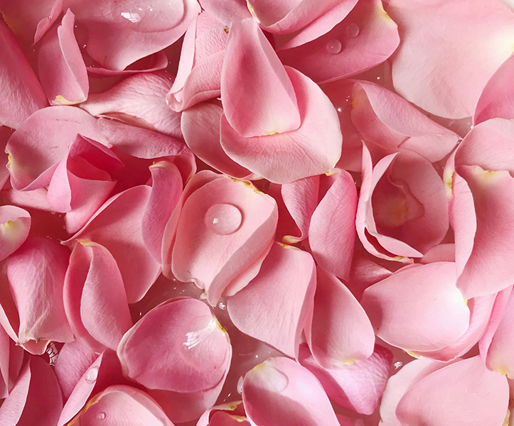 Rose Jelly Mask Powder
