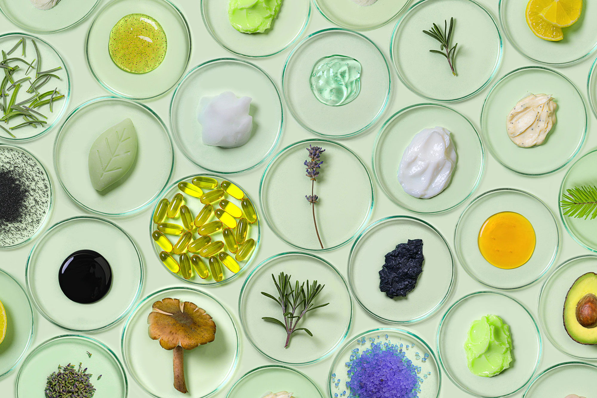 Natural, Organic & Vegan Cosmetic Manufacturers