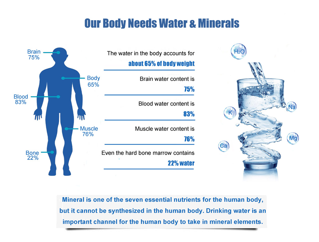 water purifier, hollow nf membrane, non ro non uf membrane, hnf membrane, js600 household