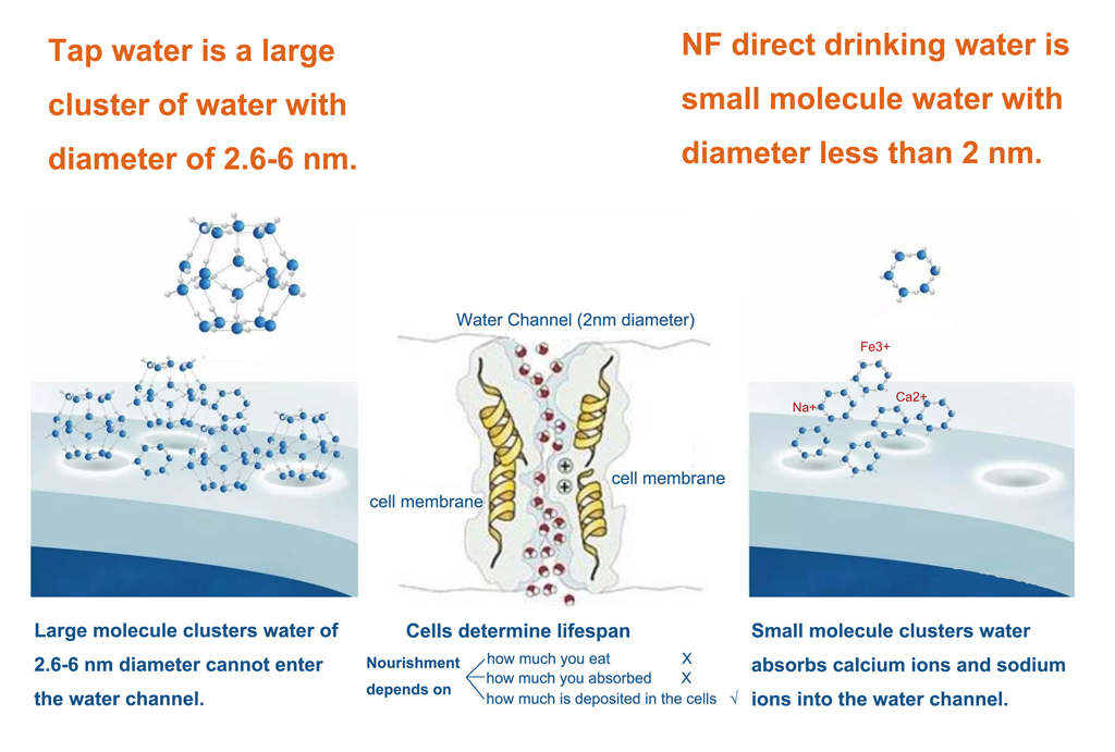 tap water, hollow nf water -ROCK-HNF