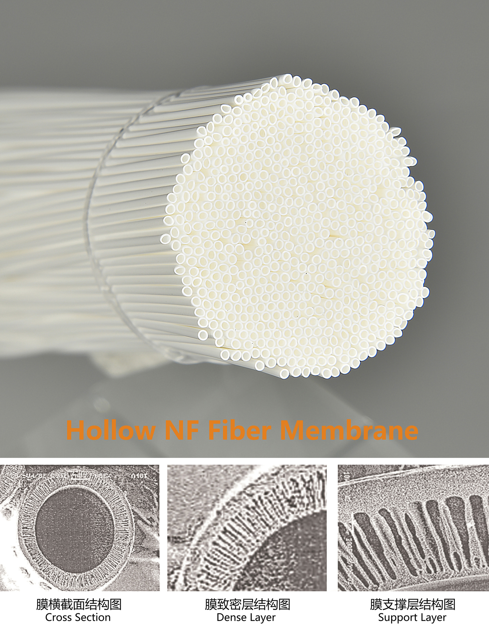hollow nf membrane, water purifier, hollow fiber membrane, non uf non ro membrane