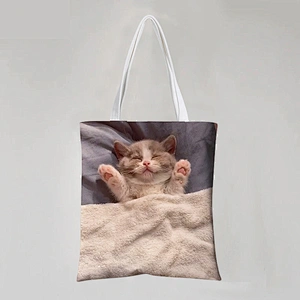 Cat Canvas Bag