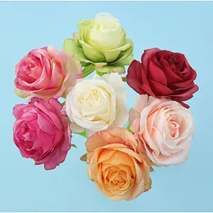 7-color optional rose silicone pen