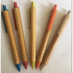 Bamboo Pen