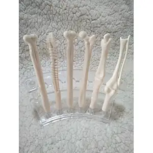 Modeling Pen