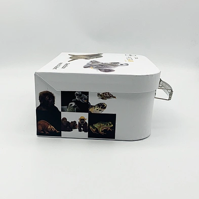 Wholesale Baby Gift Packaging Box Children Gift Storage Boxes  Gift Paper Suitcase With Metal Handle