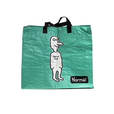Fashion promotional customized recycle pp woven shopping bag with handle
