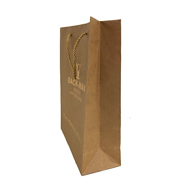 Custom shopping brown kraft paper bag with your own logo