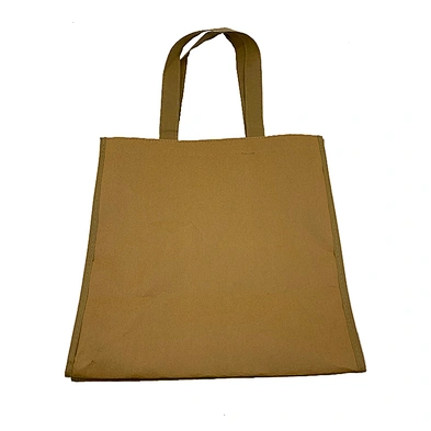 Custom style eco-firednly recyclable shopping brown kraft paper bag