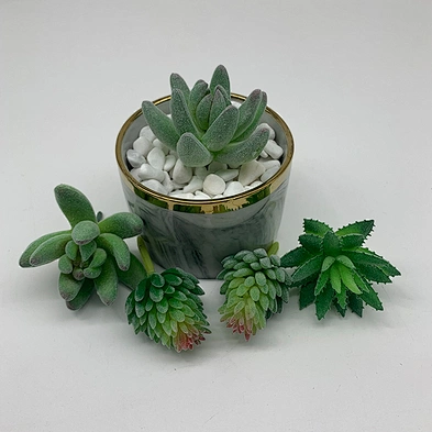 Factory 4-9 cm mini decorated plastic flowers Flower arrangement accessories artificial succulent plants