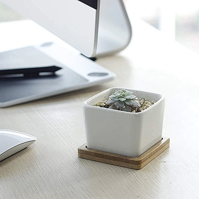 Mini Succulent Planter Garden Pots With Bamboo Tray Bright White Modern Ceramic Garden Pot