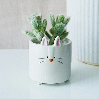 Fast Delivery Cute Plant Ceramic Pots Hedgehog Bunny Puppy Small Animal Succulent Flower Pot