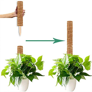 Amazon Hot Sale Totem Pole Coir Moss Stick  for Creepers Plant Support Extension Climbing Indoor Plants