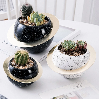 In Stock Gold Plated Iron Ceramic Flower Pot Star Ring Flower Pot Fleshy Ceramic Flower Pot