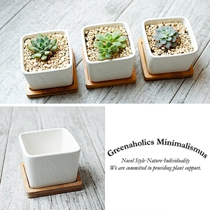 Mini Succulent Planter Garden Pots With Bamboo Tray Bright White Modern Ceramic Garden Pot