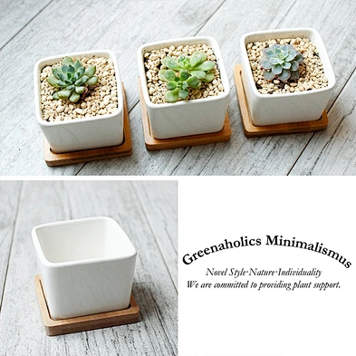 Mini Succulent Planter Garden Pots With Bamboo Tray Bright White Modern Ceramic Garden Pot