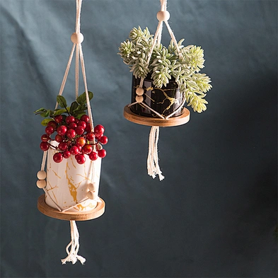 Indoor Outdoor Decor Colorful Ceramic Hanging Succulent Cactus Planter Pot With Cotton Rope Hanger