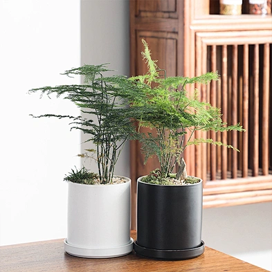 Wholesale Custom Indoor Desk Decorative Cactus Succulent Planter Black White Ceramic Flower Pots With Tray