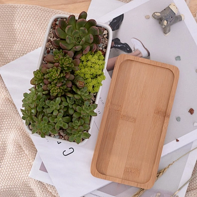 Rectangle White Ceramic Succulent Planter Pots Mini Flower Plant Containers With Wooden Tray