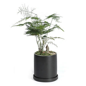 Wholesale Custom Indoor Desk Decorative Cactus Succulent Planter Black White Ceramic Flower Pots With Tray