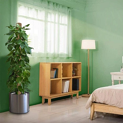 Amazon Hot Sale Totem Pole Coir Moss Stick  for Creepers Plant Support Extension Climbing Indoor Plants