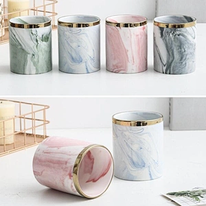 Ceramic Succulent Planter Creative Porcelain Mini  Flower Pot With Gold Black Metal Stand For Home Decor