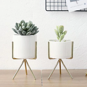 Cute Bulk Succulent Metal Table Stand Indoor Cheap Artificial Small Cactus Plant & Planters Mini Ceramic Flower Pots