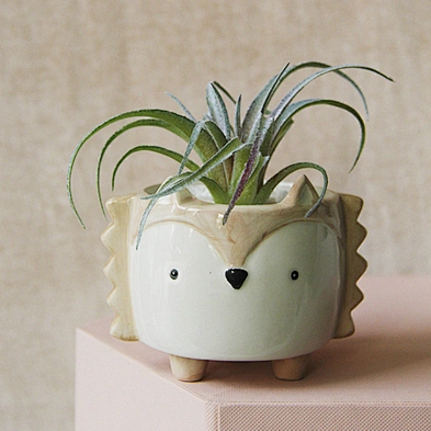 Fast Delivery Cute Plant Ceramic Pots Hedgehog Bunny Puppy Small Animal Succulent Flower Pot