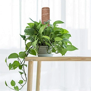 Amazon Hot Sale Totem Pole Coir Moss Stick  for Creepers Plant Support Extension Climbing Indoor Plants