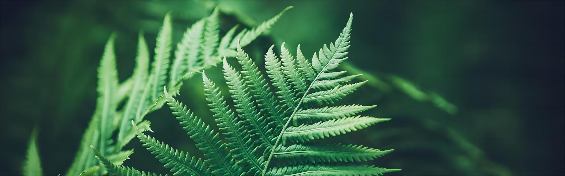 sustainable cosmetic tube packaging