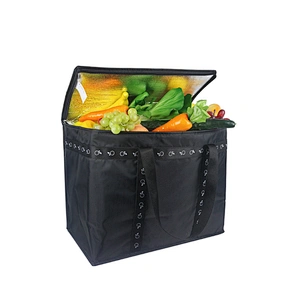 CL0037 - Insulated Delivery Bag