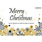 Christmas & New Year Greeting