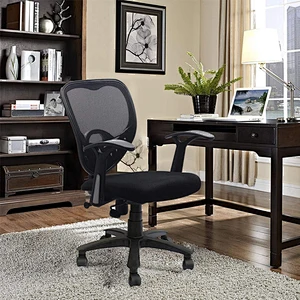 Low back adjustable armrest backrest office chair