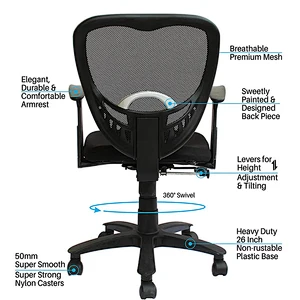 Low back adjustable armrest backrest office chair