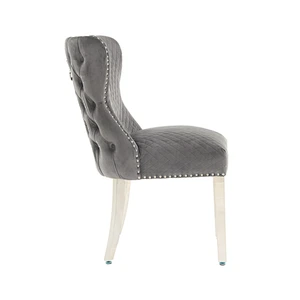 Wholesale Modern Nordic Style Design luxury dining chair china