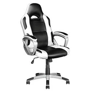 AMJI style racing silla gamer chair