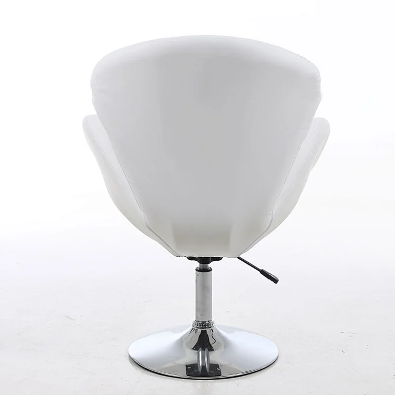 Ladies salon furniture hydraulic beauty salon chair
