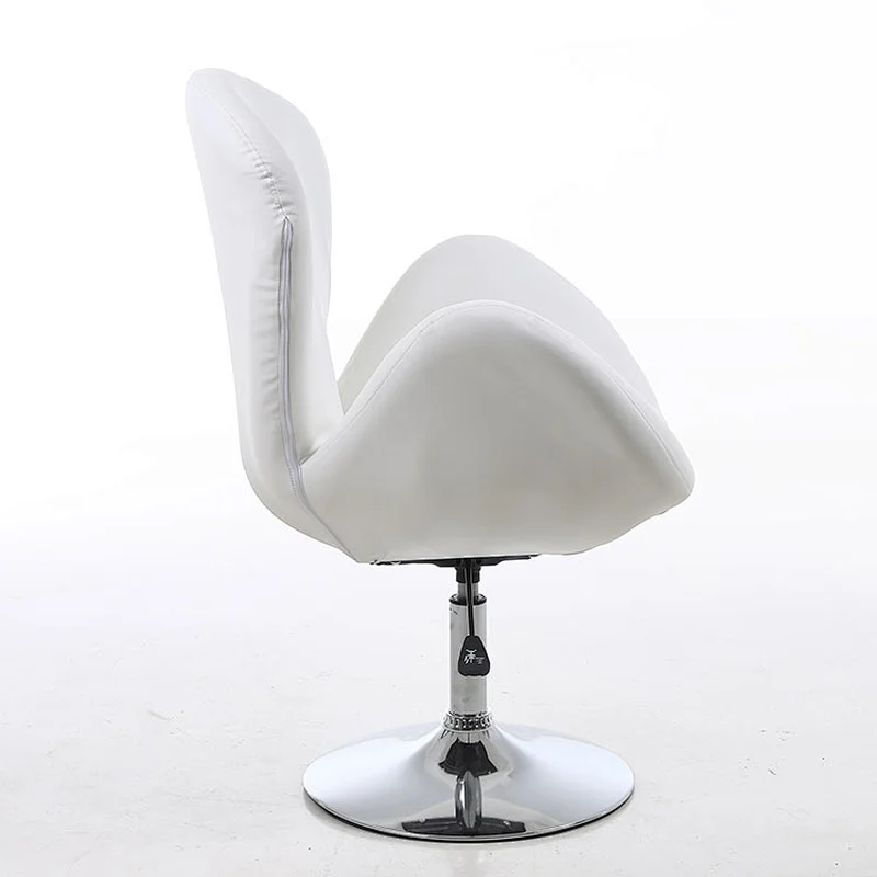 Ladies salon furniture hydraulic beauty salon chair