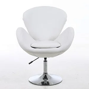 Ladies salon furniture hydraulic beauty salon chair