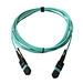 mpo optical patch cord